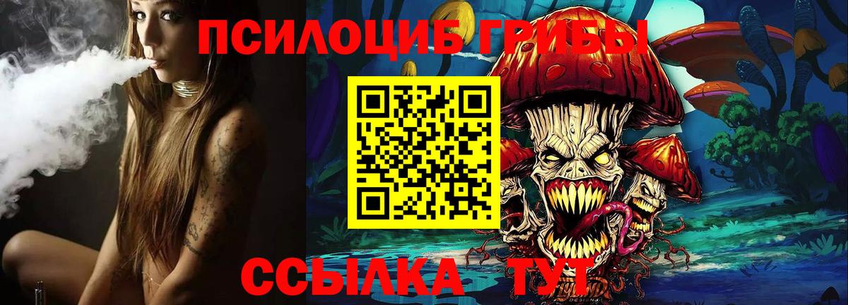 Псилоцибиновые грибы GOLDEN TEACHER  магазин  наркотиков  Комсомольск-на-Амуре  Вход с VPN 