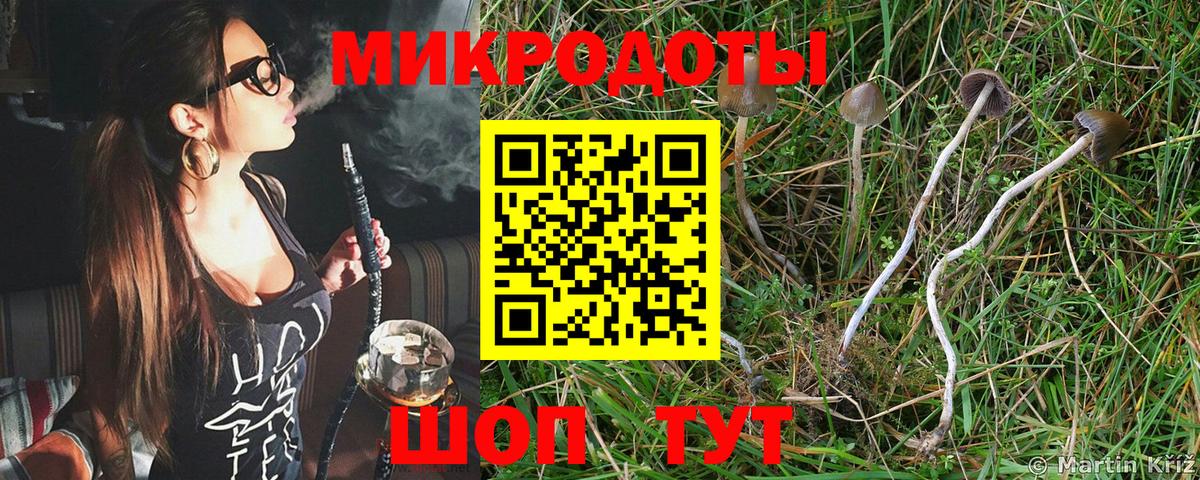 Галлюциногенные грибы мухоморы Комсомольск-на-Амуре